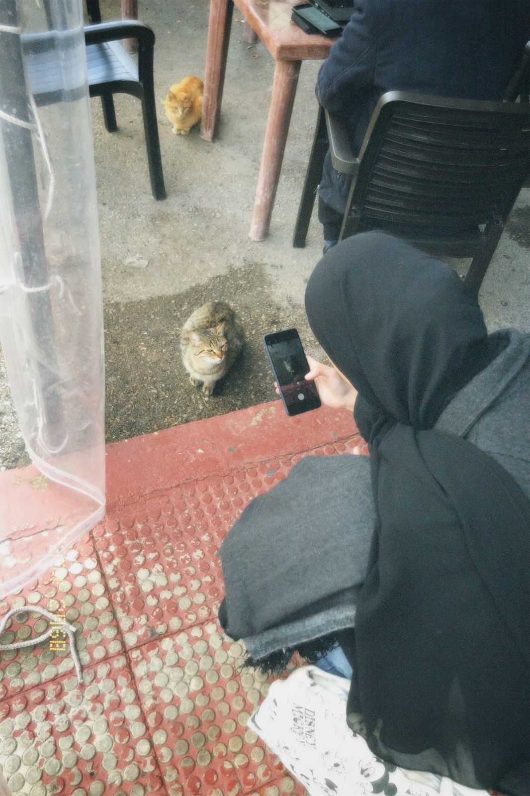 rouba dawi